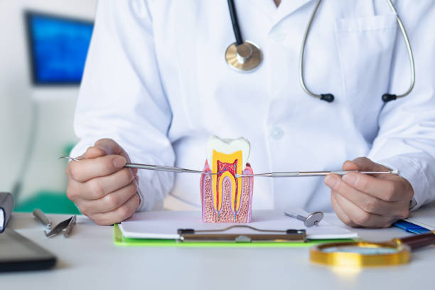 Best Emergency Treatment for Toothache in Moweaqua, IL